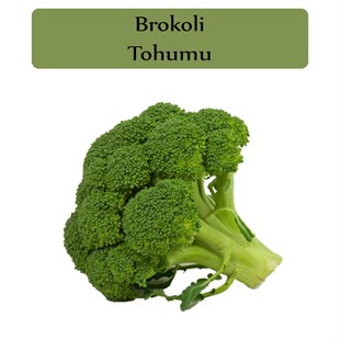 Brokoli Tohumu 1 Paket (1 Gr=250+ Adet)